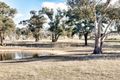 Property photo of 452 O'Connell Plains Road O'Connell NSW 2795