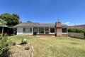 Property photo of 17 Apex Road Gunnedah NSW 2380