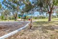 Property photo of 55 Ayrton Street Dawesville WA 6211