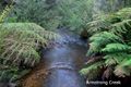 Property photo of 9 Fisherman Drive Reefton VIC 3799