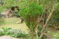 Property photo of 75 Moxhams Road Winston Hills NSW 2153
