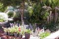 Property photo of 11 Cassia Street Cape Paterson VIC 3995