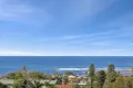 Property photo of 19 Bedford Crescent Collaroy NSW 2097