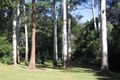 Property photo of 188 Trees Road Tallebudgera QLD 4228