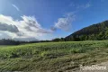 Property photo of LOT 5 Warner Road Cassowary QLD 4873