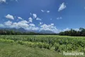 Property photo of LOT 5 Warner Road Cassowary QLD 4873