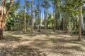 Property photo of 5 Rainforest Court Boreen Point QLD 4565