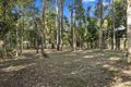 Property photo of 5 Rainforest Court Boreen Point QLD 4565