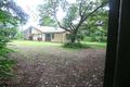 Property photo of 61 Love Street Holland Park QLD 4121