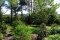 Property photo of 191 Maleny Stanley River Road Maleny QLD 4552