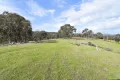 Property photo of 172 Rhymney Road Norval VIC 3377