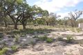 Property photo of 71 Page Drive Blanchetown SA 5357