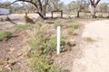 Property photo of 71 Page Drive Blanchetown SA 5357