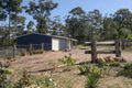 Property photo of 24 Blackbutt Lane Malua Bay NSW 2536