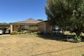 Property photo of 11 Day Street Henty NSW 2658