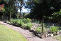 Property photo of 12 Kaalba Court Kiels Mountain QLD 4559