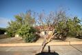 Property photo of 58 Cedar Avenue South Brighton SA 5048