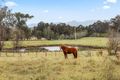 Property photo of 2315 Princes Highway Moruya NSW 2537