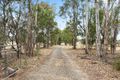 Property photo of 2315 Princes Highway Moruya NSW 2537