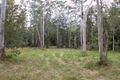 Property photo of 290 Ringtail Creek Road Ringtail Creek QLD 4565