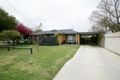 Property photo of 42 Walana Crescent Kooringal NSW 2650