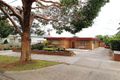 Property photo of 15 Locke Street Essendon VIC 3040