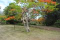 Property photo of 73 Callemonda Road Brooloo QLD 4570