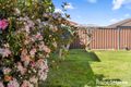 Property photo of 81 Whitford Road Hinchinbrook NSW 2168