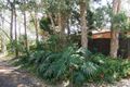 Property photo of 3 Campbell Street Wooloweyah NSW 2464