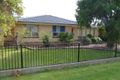 Property photo of 13 Quirke Avenue Morphettville SA 5043