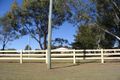 Property photo of 175 Linden Crescent Cranebrook NSW 2749