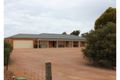 Property photo of 12 Camporeale Drive Risdon Park South SA 5540