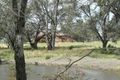 Property photo of 320 Carroll Road Wharparilla VIC 3564