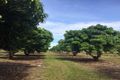 Property photo of 1685 Leonino Road Darwin River NT 0841