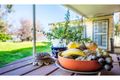 Property photo of 24 Jordan Drive Morphett Vale SA 5162