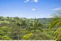 Property photo of 17 Carolina Street Lismore Heights NSW 2480