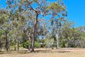 Property photo of 47 Oceania Court Deepwater QLD 4674