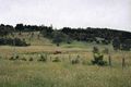 Property photo of 29 Short Road Gisborne VIC 3437