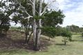 Property photo of 60 Baldwins Road South Bingera QLD 4670