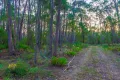 Property photo of Howlett Road Ross Creek VIC 3351