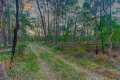 Property photo of Howlett Road Ross Creek VIC 3351