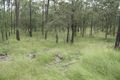 Property photo of 151 J Hunters Road Ballogie QLD 4610