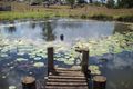 Property photo of 29 Lagoon Pocket Road Long Flat QLD 4570