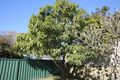 Property photo of 4 Albert Street Cundletown NSW 2430