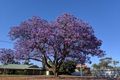 Property photo of 20 Butler Street Piccadilly WA 6430