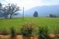 Property photo of 28121 Tasman Highway Pyengana TAS 7216