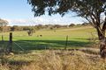 Property photo of LOT 187 Tathra Drive Junee NSW 2663