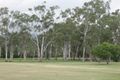 Property photo of 155 Piralko Road Mount Surround QLD 4809