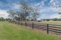 Property photo of 8201 Mount Lindesay Highway Josephville QLD 4285