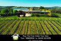 Property photo of 798 Norton Road Wamboin NSW 2620